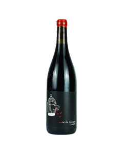 Pescara Vini Carta Bianca L’Oscuro 2022