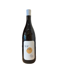 Widmann Wine Terra Pinot Bianco 2024
